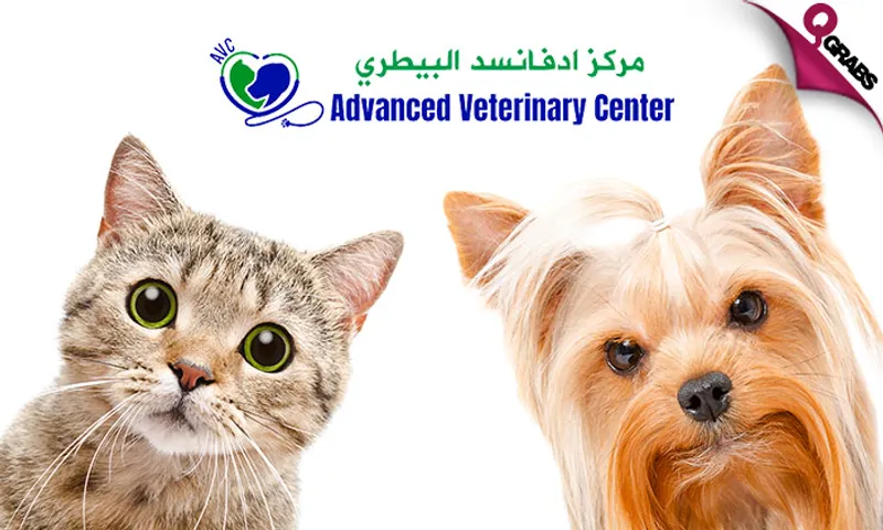 Pet Grooming for Dogs & Cats at Advanced Veterinary Center!